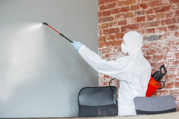 Best Real Estate Mold Inspection  in Broken Bow, NE