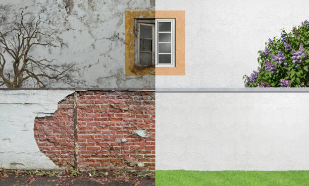 Best Environmental Consulting for Mold Prevention  in Broken Bow, NE