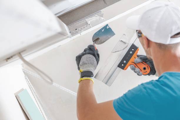 Best Mold Remediation for Healthcare Facilities  in Broken Bow, NE